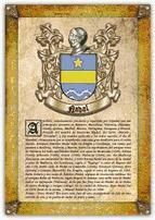 Portada de Apellido Nadal / Origen, Historia y Her&aacute;ldica de los linajes y apellidos espa&ntilde;oles e hispanoamericanos (Ebook)