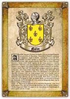 Portada de Apellido Nater / Origen, Historia y Her&aacute;ldica de los linajes y apellidos espa&ntilde;oles e hispanoamericanos (Ebook)