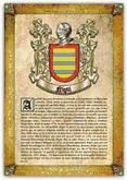 Portada de Apellido Niqui (PDF de Lectura e Impresi&oacute;n) (Ebook)