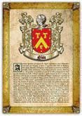 Portada de Apellido Nisa (PDF de Lectura e Impresi&oacute;n) (Ebook)