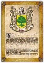 Portada de Apellido Olivet / Origen, Historia y Heráldica de los linajes y apellidos españoles e hispanoamericanos (Ebook)