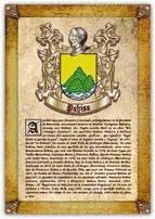 Portada de Apellido Pahisa / Origen, Historia y Heráldica de los linajes y apellidos españoles e hispanoamericanos (Ebook)