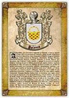 Portada de Apellido Palanca / Origen, Historia y Heráldica de los linajes y apellidos españoles e hispanoamericanos (Ebook)