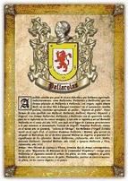 Portada de Apellido Pallarolas / Origen, Historia y Heráldica de los linajes y apellidos españoles e hispanoamericanos (Ebook)