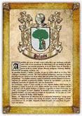 Portada de Apellido Palm&eacute;s (PDF de Lectura e Impresi&oacute;n) (Ebook)