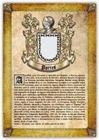 Portada de Apellido Parres / Origen, Historia y Her&aacute;ldica de los linajes y apellidos espa&ntilde;oles e hispanoamericanos (Ebook)