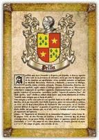 Portada de Apellido Pellín / Origen, Historia y Heráldica de los linajes y apellidos españoles e hispanoamericanos (Ebook)