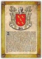 Portada de Apellido Petit / Origen, Historia y Heráldica de los linajes y apellidos españoles e hispanoamericanos (Ebook)