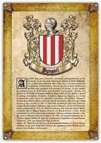 Portada de Apellido Punsati / Origen, Historia y Her&aacute;ldica de los linajes y apellidos espa&ntilde;oles e hispanoamericanos (Ebook)