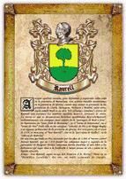 Portada de Apellido Raurell / Origen, Historia y Her&aacute;ldica de los linajes y apellidos espa&ntilde;oles e hispanoamericanos (Ebook)