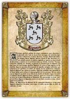 Portada de Apellido Rigueiro / Origen, Historia y Her&aacute;ldica de los linajes y apellidos espa&ntilde;oles e hispanoamericanos (Ebook)