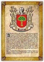 Portada de Apellido Rimblas / Origen, Historia y Her&aacute;ldica de los linajes y apellidos espa&ntilde;oles e hispanoamericanos (Ebook)