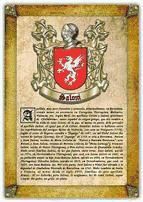 Portada de Apellido Saloni / Origen, Historia y Her&aacute;ldica de los linajes y apellidos espa&ntilde;oles e hispanoamericanos (Ebook)