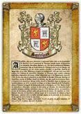 Portada de Apellido Santelices (PDF de Lectura e Impresi&oacute;n) (Ebook)