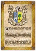 Portada de Apellido Setien / Origen, Historia y Heráldica de los linajes y apellidos españoles e hispanoamericanos (Ebook)