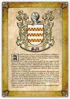 Portada de Apellido Su&ntilde;&eacute; / Origen, Historia y Her&aacute;ldica de los linajes y apellidos espa&ntilde;oles e hispanoamericanos (Ebook)