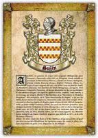 Portada de Apellido Su&ntilde;&eacute;n / Origen, Historia y Her&aacute;ldica de los linajes y apellidos espa&ntilde;oles e hispanoamericanos (Ebook)