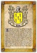 Portada de Apellido Tizón / Origen, Historia y Heráldica de los linajes y apellidos españoles e hispanoamericanos (Ebook)