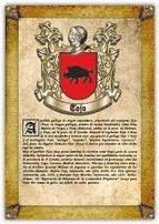 Portada de Apellido Tojo / Origen, Historia y Heráldica de los linajes y apellidos españoles e hispanoamericanos (Ebook)