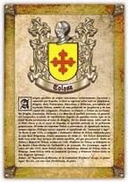 Portada de Apellido Tolosa / Origen, Historia y Heráldica de los linajes y apellidos españoles e hispanoamericanos (Ebook)