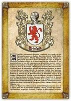 Portada de Apellido Trinidad / Origen, Historia y Heráldica de los linajes y apellidos españoles e hispanoamericanos (Ebook)