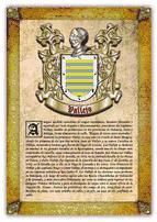 Portada de Apellido Vallejo / Origen, Historia y Heráldica de los linajes y apellidos españoles e hispanoamericanos (Ebook)