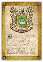 Portada de Apellido Viladesau / Origen, Historia y Her&aacute;ldica de los linajes y apellidos espa&ntilde;oles e hispanoamericanos (Ebook)