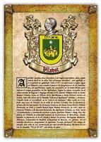 Portada de Apellido Viladot / Origen, Historia y Heráldica de los linajes y apellidos españoles e hispanoamericanos (Ebook)
