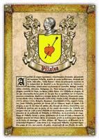 Portada de Apellido Villalva / Origen, Historia y Her&aacute;ldica de los linajes y apellidos espa&ntilde;oles e hispanoamericanos (Ebook)