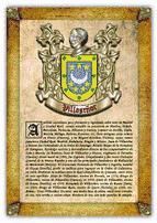 Portada de Apellido Villase&ntilde;or / Origen, Historia y Her&aacute;ldica de los linajes y apellidos espa&ntilde;oles e hispanoamericanos (Ebook)