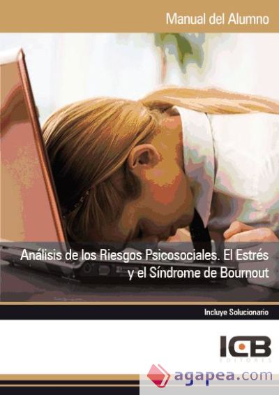 Manual Análisis de los Riesgos Psicosociales. el Estrés y el Síndrome de Bournout