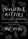 Invisible Kitties: A Feline Study of Fluid Mechanics or the Spurious Incidents of the Cats in the Night-Time