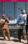Iraq&acirc;s Sunni Insurgency