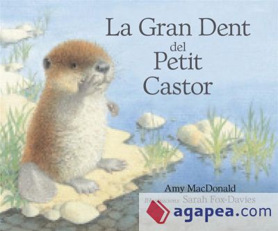 La gran dent del petit castor