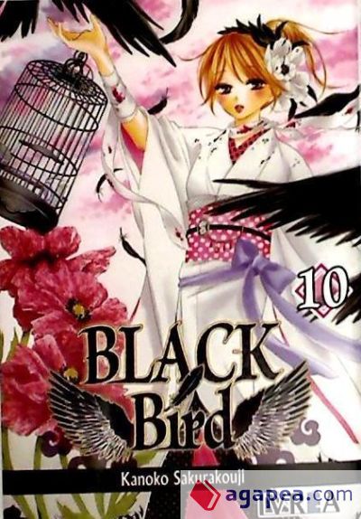 Black Bird 10