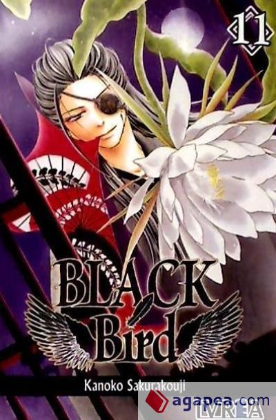 Black Bird 11