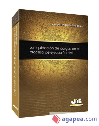 LIQUIDACIÓN DE CARGAS EN EL PROCESO DE EJECUCIÓN C