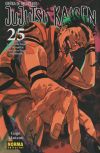 JUJUTSU KAISEN 25