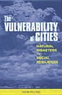 Portada de Vulnerability of Cities