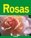 Jardinería Y Plantas. Rosas