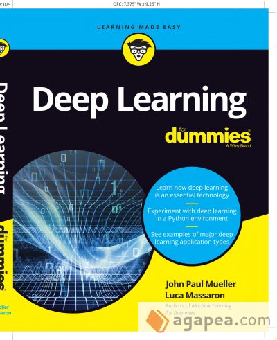 Deep Learning for Dummies