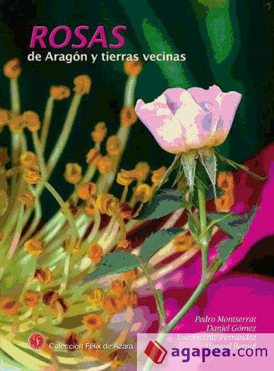 Rosas de Aragón y tierras vecinas