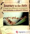 Journey to the Ants