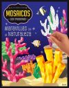 KALEIDOSCOPIO- MOSAICOS CON PEGATINAS PARA ADULTOS- MARAVILLAS NATURALEZA