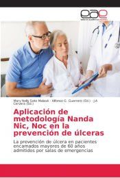 Ulcernic APLICACION DE METODOLOGIA NANDA NIC, NOC EN LA PREVENCION DE ULCERAS ...