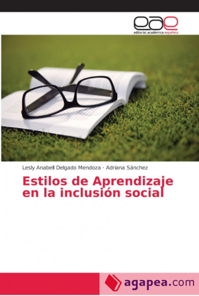 Estilos de Aprendizaje en la inclusión social