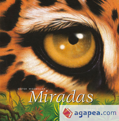 MIRADAS