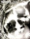 Kittens 2011