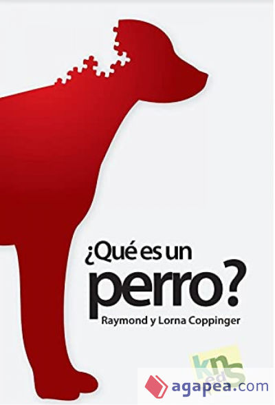 ¿Qué es un perro?