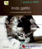 Portada de Lindo gatito